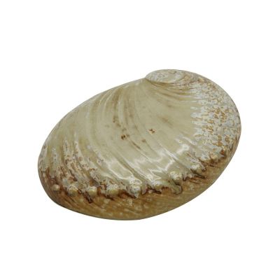 Салатник 365 мл 19*14,5 см h5 см Pearl Ammonite Shell Frutti di Mare P.L. [1]