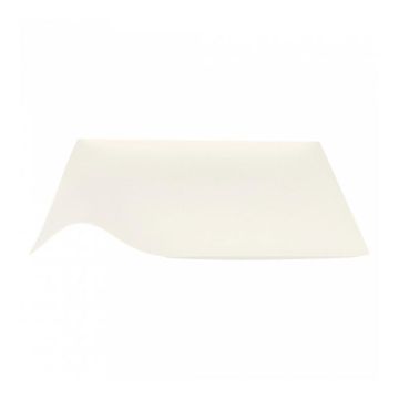 Тарелка одноразовая Bionic, японский дизайн Wasara 20,4*3,6(h) см, целлюлоза, 1 шт, Garc