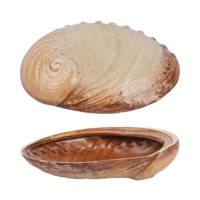Салатник  365 мл 19*14,5 см h5 см для закусок Pearl Ammonite Shell Frutti di Mare P.L. [1]