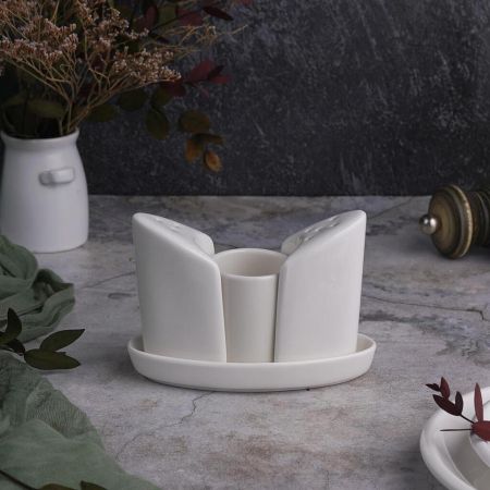 Набор для специй 3 предмета 12,5*6,7 см h9 см на подставке белый фарфор P.L. Proff Cuisine [1]