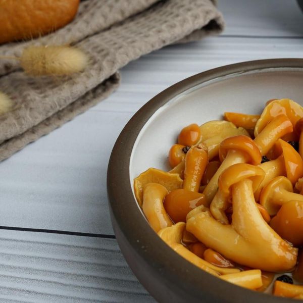 Салатник 300 мл d 14,3 cм h4,2 cм White Matt New Brown Taiga P.L. [6]