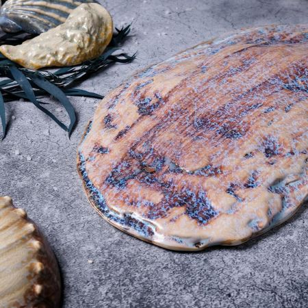 Блюдо овальное 51,8*23,5 см h3,5 см Light Purple Shell Northern Blue Frutti di Mare P.L. [1]