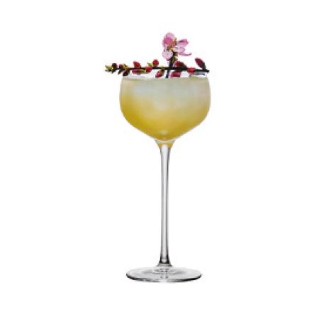 Рюмка коктейльная 160 мл "Aster" d 7/7,6 см h17,5 см Cocktail Week P.L. [6]