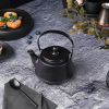 Чайник 600 мл d 14 см h8,5 см с ситом Smooth Black Raw Stellar P.L. Proff Cuisine [1]