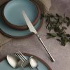 Нож столовый 22,9 см матовый цвет серебро PVD 1920-Silvery P.L. [12]