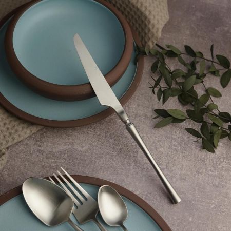 Нож столовый 22,9 см матовый цвет серебро PVD 1920-Silvery P.L. [12]