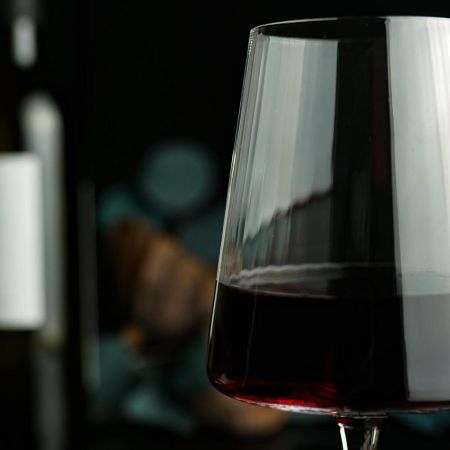 Бокал для вина 470 мл "ProBar Optical" d 9,3 см h22 см P.L. - BarWare [4]