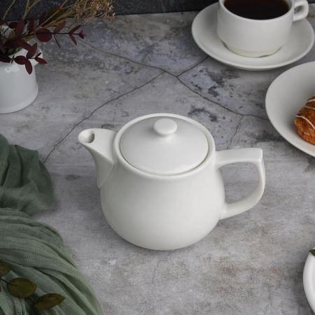 Чайник 450 мл d 10,1 см h11 см с фильтром белый фарфор P.L. Proff Cuisine [1]