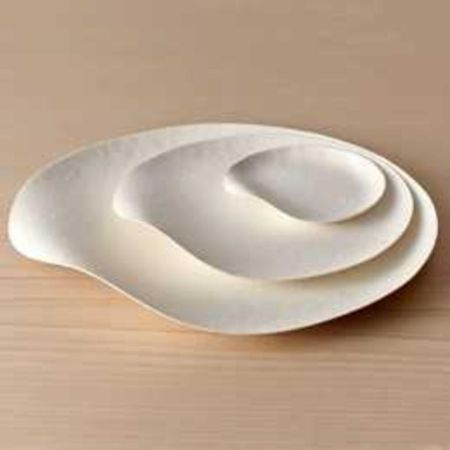 Тарелка одноразовая Bionic, японский дизайн Wasara 16,5*2,4(h) см, целлюлоза, 1 шт, Garc