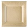 Тарелка квадратная Bionic 20*20*1 см, натуральный цвет, 50 шт, сахарный тростник, Garcia